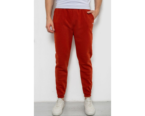 Спортивні штани чоловічі на флісі, колір теракотовий, 238R57256
