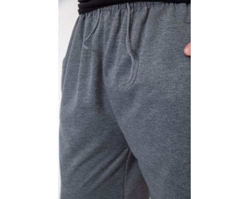 Спортивні штани чоловічі, колір сірий, 244R10018