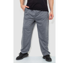 Спортивні штани чоловічі, колір сірий, 244R10018