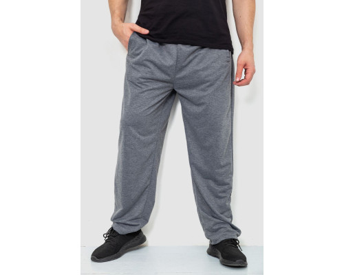 Спортивні штани чоловічі, колір сірий, 244R10018