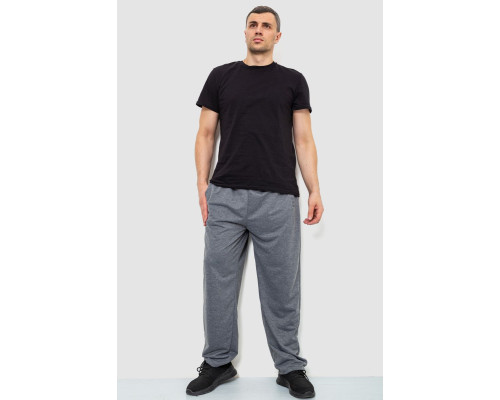 Спортивні штани чоловічі, колір сірий, 244R10018