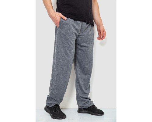 Спортивні штани чоловічі, колір сірий, 244R10018