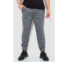 Спортивні штани чоловічі двонитка, колір сірий, 244R41298