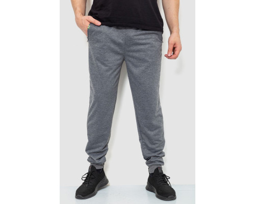 Спортивні штани чоловічі двонитка, колір сірий, 244R41298
