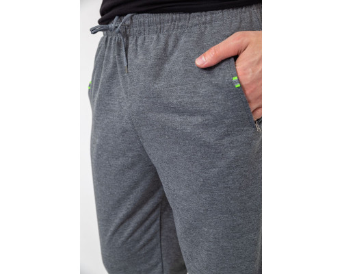 Спортивні штани чоловічі двонитка, колір сірий, 244R41298