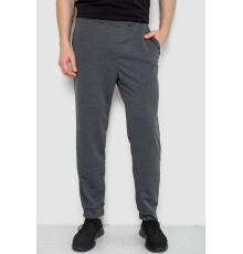 Спортивні штани чоловічі, колір сірий, 238R122