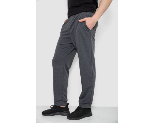 Спортивні штани чоловічі, колір сірий, 238R122