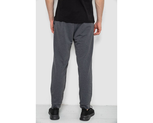 Спортивні штани чоловічі, колір сірий, 238R122