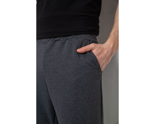 Спортивні штани чоловічі, колір сірий, 238R122
