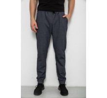 Спортивні штани чоловічі на флісі, колір сірий, 238R135