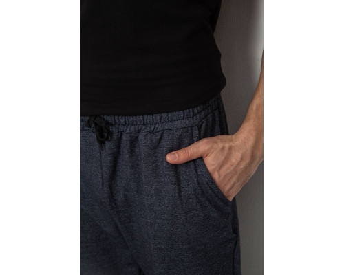 Спортивні штани чоловічі на флісі, колір сірий, 238R135