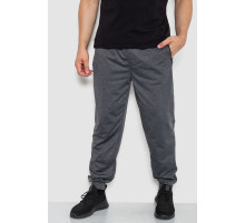 Спортивні штани чоловічі, колір темно-сірий, 244R41512