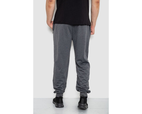 Спортивні штани чоловічі, колір темно-сірий, 244R41512
