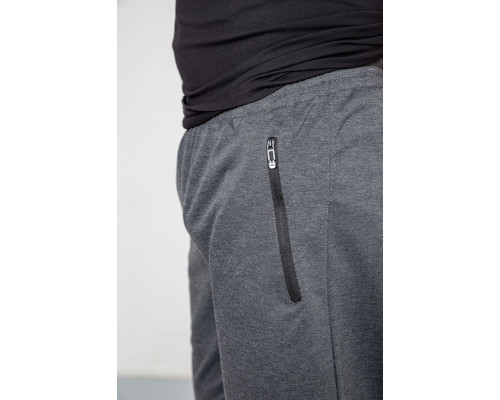 Спортивні штани чоловічі, колір темно-сірий, 244R41512
