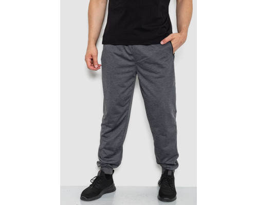 Спортивні штани чоловічі, колір темно-сірий, 244R41512