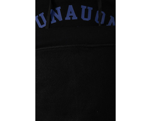 Худі чоловічий на флісі з капюшоном, колір чорний, 244R2197