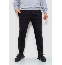 Спортивні штани чоловічі двонитка, колір чорний, 241R8005