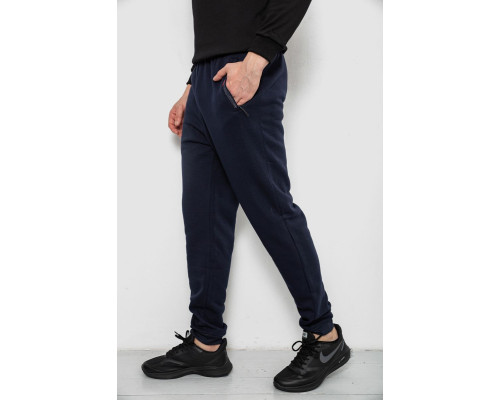 Спортивні штани чоловічі на флісі, колір синій, 244R41558