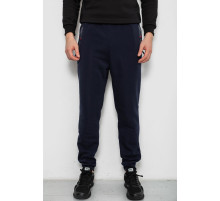 Спортивні штани чоловічі на флісі, колір синій, 244R41558