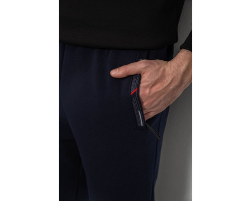 Спортивні штани чоловічі на флісі, колір синій, 244R41558