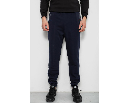 Спортивні штани чоловічі на флісі, колір синій, 244R41558