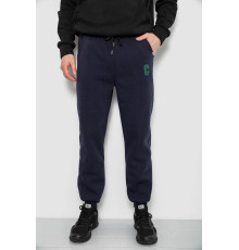 Спортивні штани чоловічі на флісі, колір синій, 129RA9995