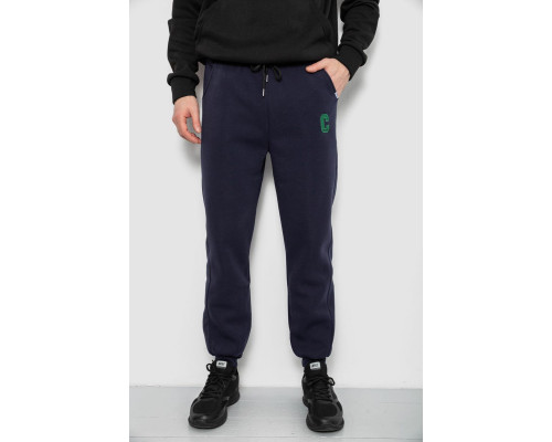 Спортивні штани чоловічі на флісі, колір синій, 129RA9995