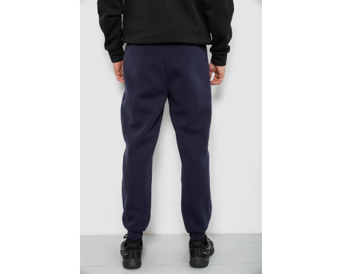Спортивні штани чоловічі на флісі, колір синій, 129RA9995