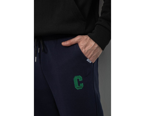 Спортивні штани чоловічі на флісі, колір синій, 129RA9995