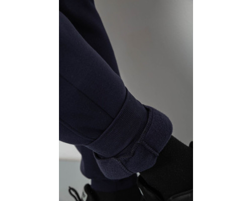 Спортивні штани чоловічі на флісі, колір синій, 129RA9995