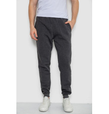 Спортивні штани чоловічі на флісі, колір темно-сірий, 244ROP09