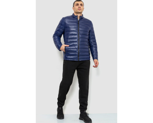 Куртка чоловіча демісезонна, колір синій, 214R06