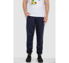 Спортивні штани чоловічі, колір темно-синій, 244R41236