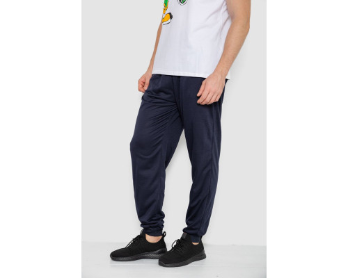 Спортивні штани чоловічі, колір темно-синій, 244R41236