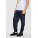 Спортивні штани чоловічі, колір темно-синій, 244R41236