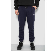 Спортивні штани чоловічі на флісі, колір синій, 129RA9998