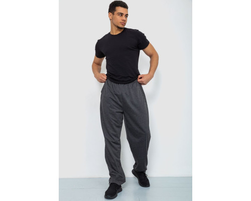 Спортивні штани чоловічі, колір темно-сірий, 244R0668