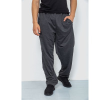 Спортивні штани чоловічі, колір темно-сірий, 244R0668