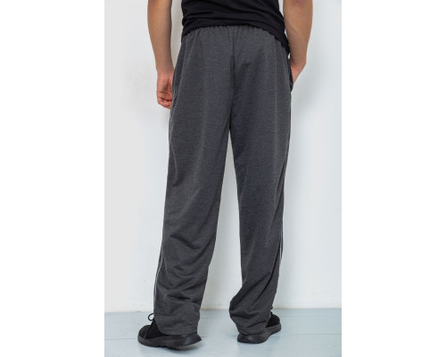 Спортивні штани чоловічі, колір темно-сірий, 244R0668