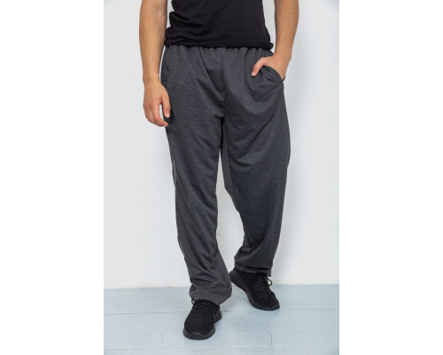 Спортивні штани чоловічі, колір темно-сірий, 244R0668