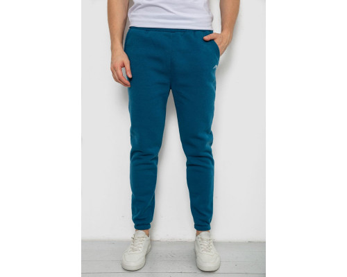 Спортивні штани чоловічі на флісі, колір смарагдовий, 238R57256
