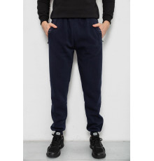 Спортивні штани чоловічі на флісі, колір синій, 244R41748