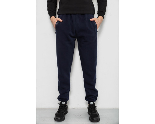 Спортивні штани чоловічі на флісі, колір синій, 244R41748