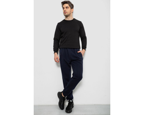 Спортивні штани чоловічі на флісі, колір синій, 244R41748