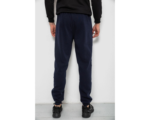 Спортивні штани чоловічі на флісі, колір синій, 244R41748