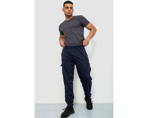 Спортивні чоловічі штани, колір темно-синій, 244R41266