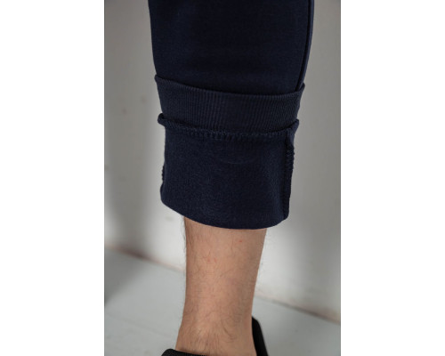 Спортивні штани чоловічі на флісі, колір синій, 244R41553