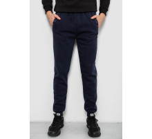 Спортивні штани чоловічі на флісі, колір синій, 244R41553