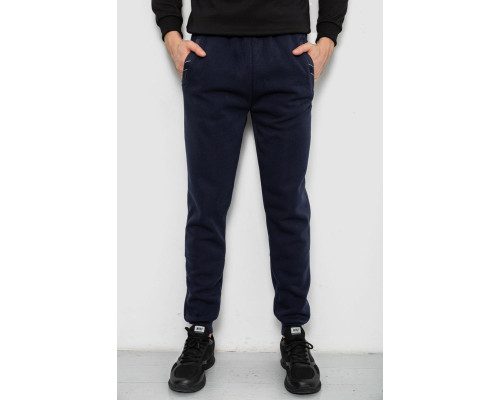 Спортивні штани чоловічі на флісі, колір синій, 244R41553