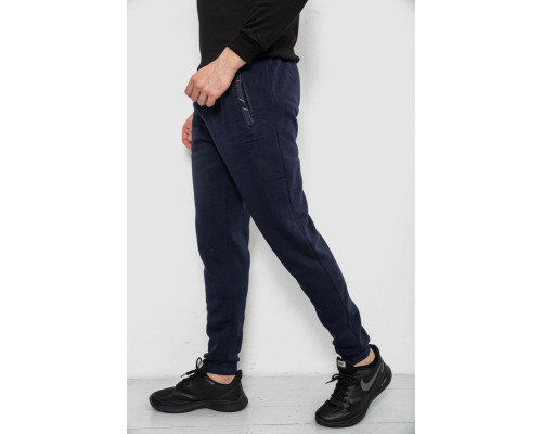 Спортивні штани чоловічі на флісі, колір синій, 244R41553